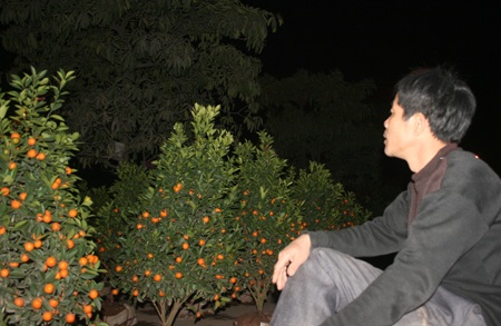 Trắng đêm “đem Tết” về phố - 2