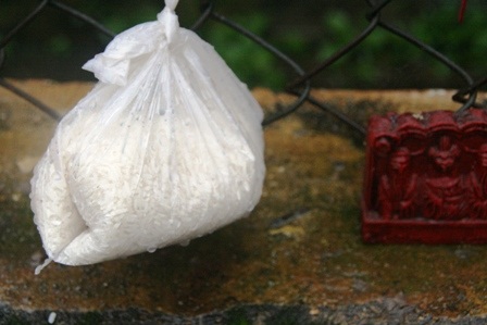 Ngắm ông bà Táo cùng “hành trang” lên chầu Trời - 11