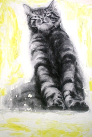 Xem chùm tranh mèo dí dỏm đầu xuân Tân Mão - 8