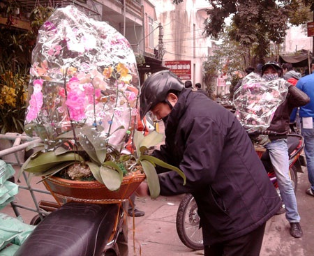Người Hà Nội đổ xô đi mua hoa giả chơi Tết - 1