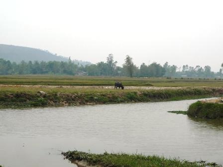 Hiến hàng trăm ha đất xây dựng “nông thôn mới” - 4
