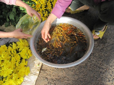 Ngắm ông bà Táo cùng “hành trang” lên chầu Trời - 16