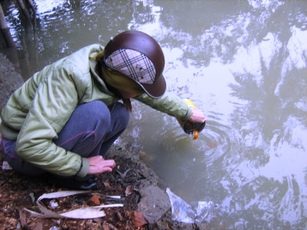 Ngày Táo quân của những người Công giáo - 9