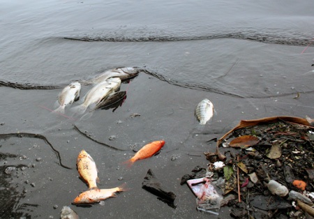 Rác ngập sông sau lễ tiễn ông Công, ông Táo  - 9