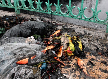 Rác ngập sông sau lễ tiễn ông Công, ông Táo  - 10