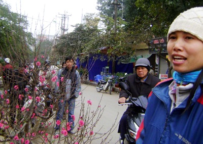 Nhọc nhằn người “báo tin” Xuân - 3 Nhọc nhằn người “báo tin” Xuân - 3