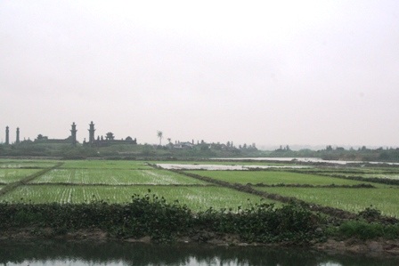 Khám phá “tuyệt chiêu” bánh tét làng Chuồn - 3
