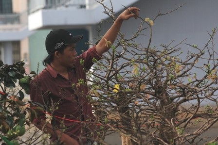 Mở màn chợ Hoa Tết Tân Mão - 2