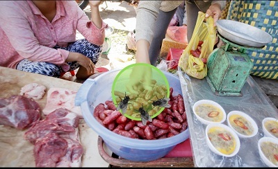 Kỳ 1: Chuyện con Ruồi - Đôi bàn tay và Tết - 3 Kỳ 1: Chuyện con Ruồi - Đôi bàn tay và Tết - 3