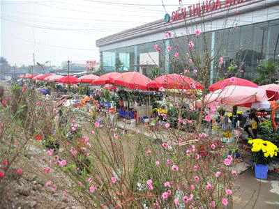 Đất trời vào Xuân, lòng người càng bâng khuâng nỗi nhớ - 1