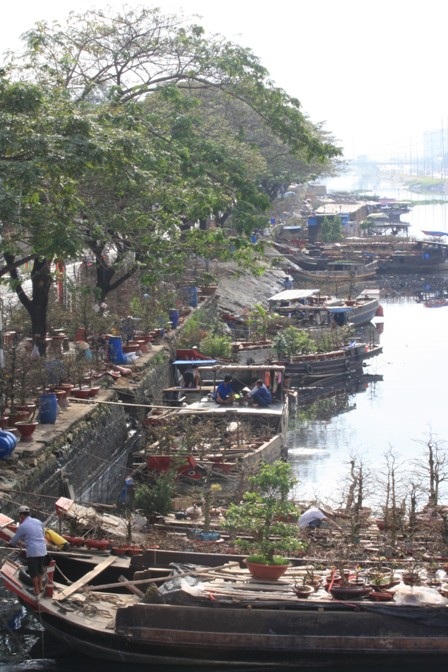 TPHCM: Chợ hoa trên bến dưới thuyền - 1