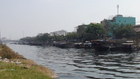 TPHCM: Chợ hoa trên bến dưới thuyền - 3