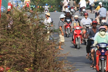 TPHCM: Chợ hoa trên bến dưới thuyền - 8