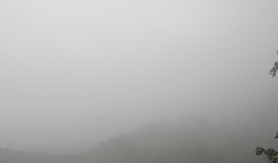 Chùm ảnh: Sương mù trên đỉnh Piêng Tò - 9