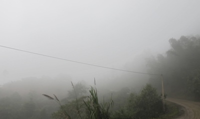 Chùm ảnh: Sương mù trên đỉnh Piêng Tò - 5