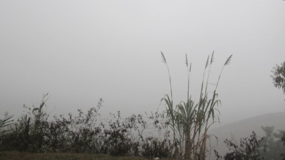 Chùm ảnh: Sương mù trên đỉnh Piêng Tò - 8