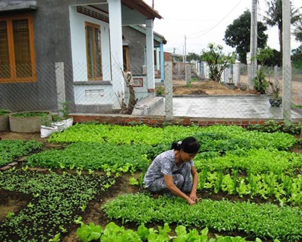 Xóm Trường đã ấm lên trong mùa xuân mới - 1 Xóm Trường đã ấm lên trong mùa xuân mới - 1