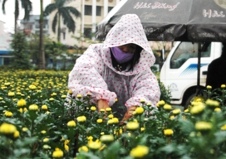 Lội bùn xem... chợ hoa Xuân - 12