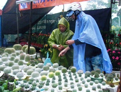 Lội bùn xem... chợ hoa Xuân - 14