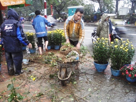 Lội bùn xem... chợ hoa Xuân - 5