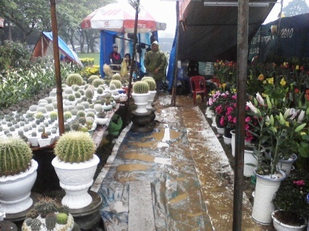 Lội bùn xem... chợ hoa Xuân - 10