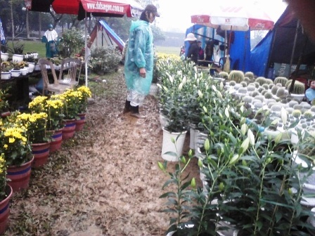 Lội bùn xem... chợ hoa Xuân - 1