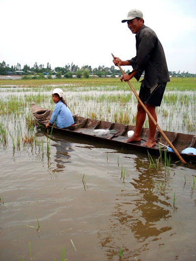 Lũ muộn gọi Xuân về sớm - 1 Lũ muộn gọi Xuân về sớm - 1