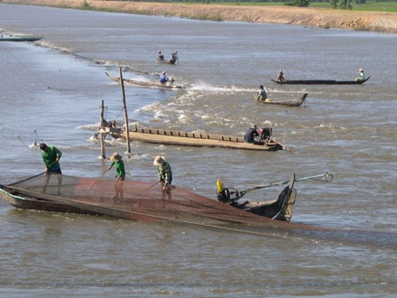 Lũ muộn gọi Xuân về sớm - 2 Lũ muộn gọi Xuân về sớm - 2