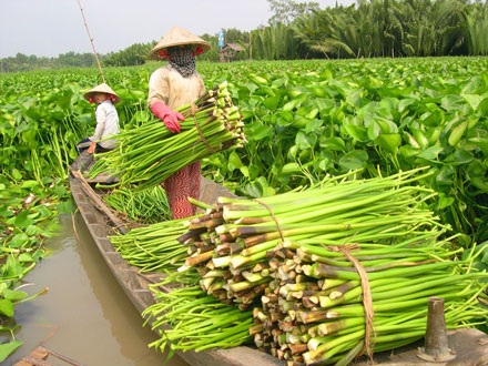 Lũ muộn gọi Xuân về sớm - 4 Lũ muộn gọi Xuân về sớm - 4