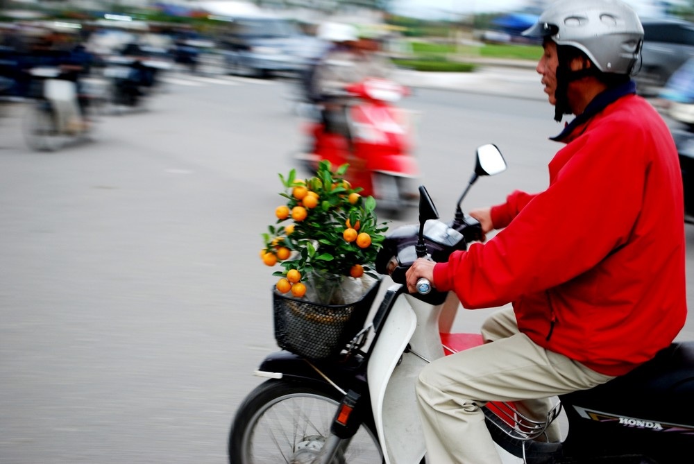 Đà Nẵng: Tất bật mang “Xuân” về nhà - 8 Đà Nẵng: Tất bật mang “Xuân” về nhà - 8