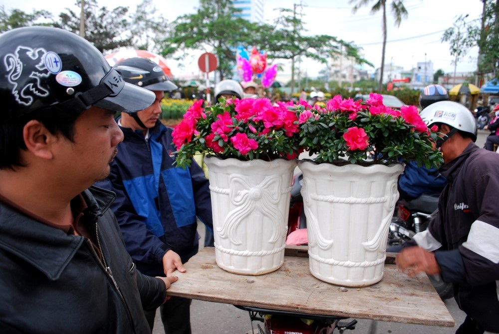 Đà Nẵng: Tất bật mang “Xuân” về nhà - 5 Đà Nẵng: Tất bật mang “Xuân” về nhà - 5