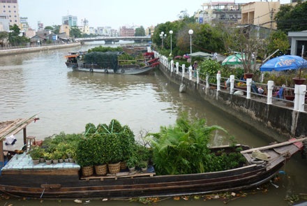 Đến xứ dừa ngắm hoa kiểng ngay Tết - 9 Đến xứ dừa ngắm hoa kiểng ngay Tết - 9