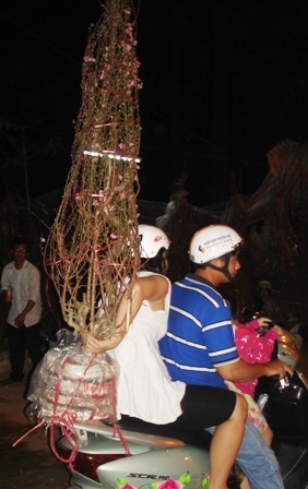 Đêm xuống đổ xô đi sắm cây kiểng - 1