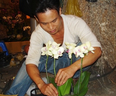 Đêm xuống đổ xô đi sắm cây kiểng - 4