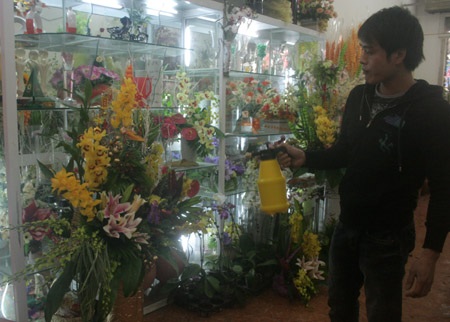 “Chạy đua” với giá hoa Tết - 6