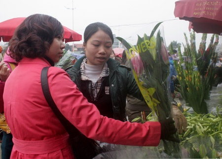 “Chạy đua” với giá hoa Tết - 1