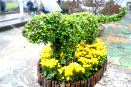 Xem đường hoa 12 con giáp vui nhộn - 3