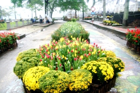 Xem đường hoa 12 con giáp vui nhộn - 13