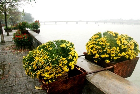 Xem đường hoa 12 con giáp vui nhộn - 14