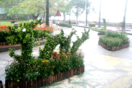 Xem đường hoa 12 con giáp vui nhộn - 1