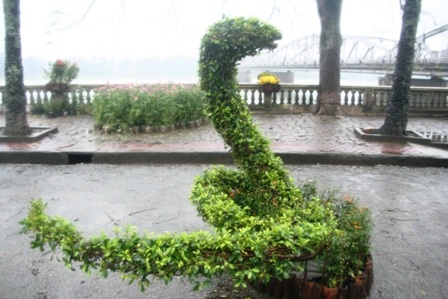 Xem đường hoa 12 con giáp vui nhộn - 4