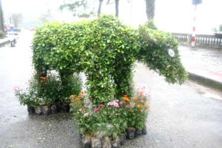 Xem đường hoa 12 con giáp vui nhộn - 7