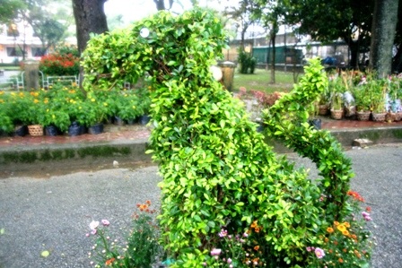 Xem đường hoa 12 con giáp vui nhộn - 9