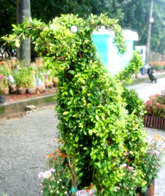 Xem đường hoa 12 con giáp vui nhộn - 10