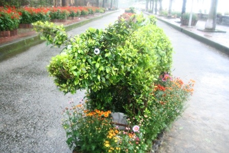 Xem đường hoa 12 con giáp vui nhộn - 6