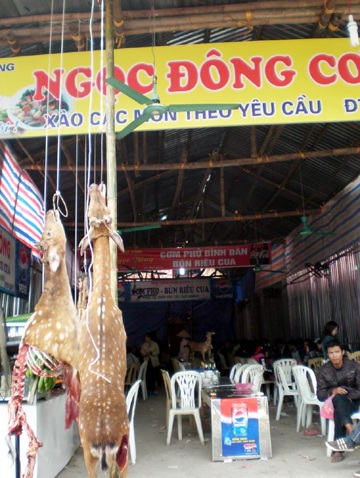 Hội chùa Hương 2011: "Xử" nghiêm quán hàng bán thịt thú rừng giả - 3 Hội chùa Hương 2011: "Xử" nghiêm quán hàng bán thịt thú rừng giả - 3
