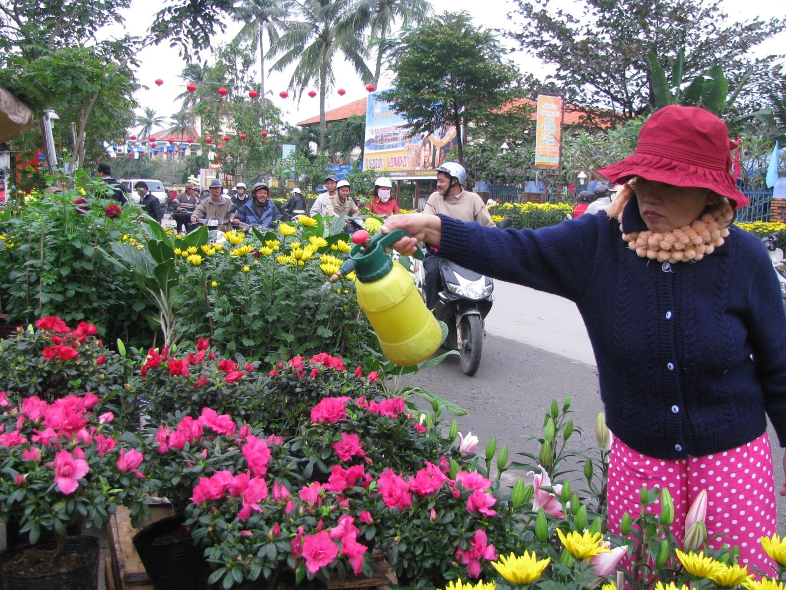 Hội An: "Bữa ni mới thấy mùa xuân" - 10