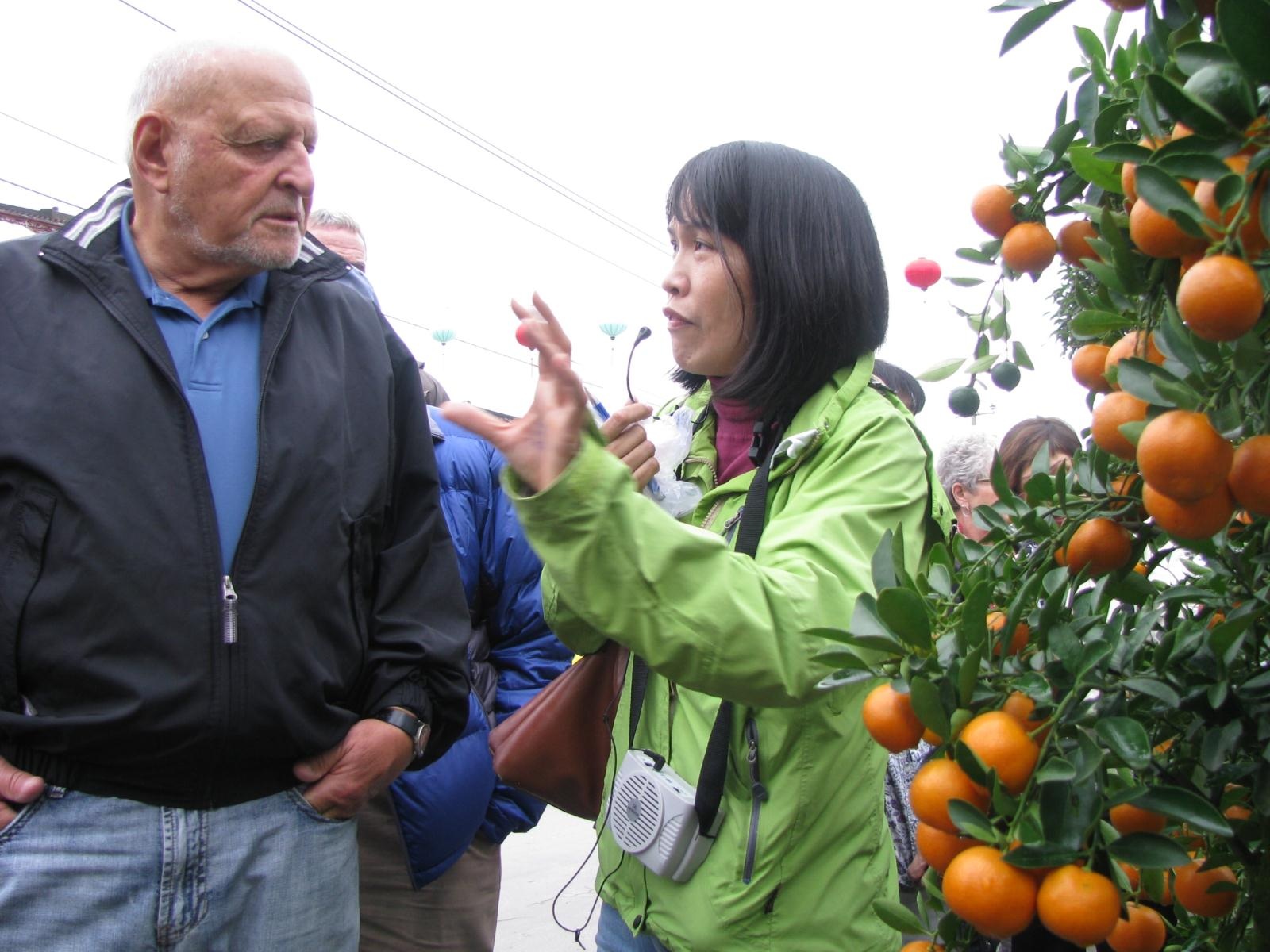 Hội An: "Bữa ni mới thấy mùa xuân" - 4