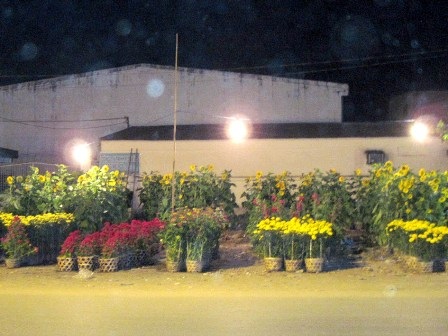 Chen chân đi chợ Tết ngoại thành - 6