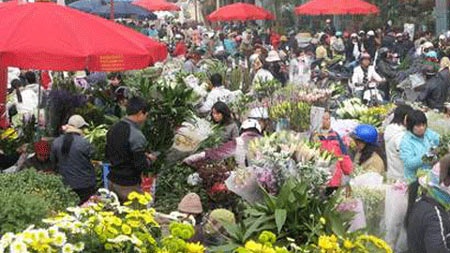 Những dự định đón Tết “hấp dẫn” của bạn trẻ - 2